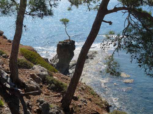 20282-Camyuva-Phaselis