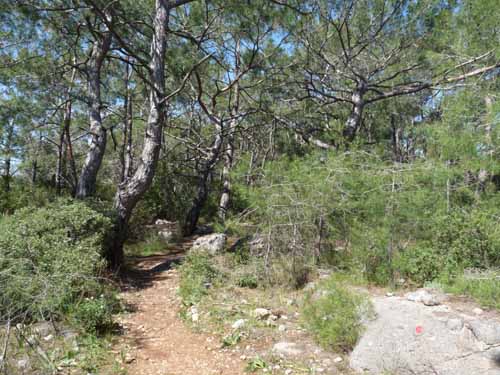 20283-Camyuva-Phaselis