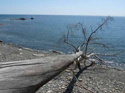 20286-Camyuva-Phaselis