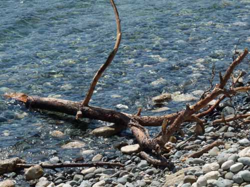 20292-Camyuva-Phaselis