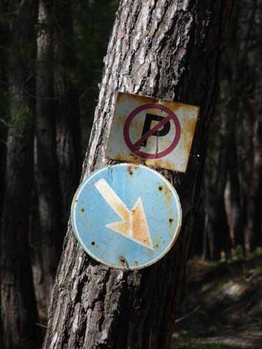 20299-Camyuva-Phaselis