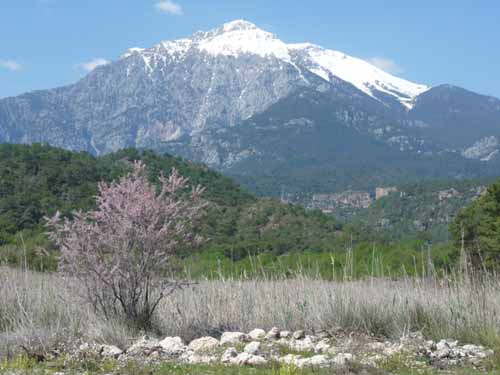 20305-Camyuva-Phaselis