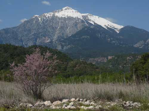 20306-Camyuva-Phaselis