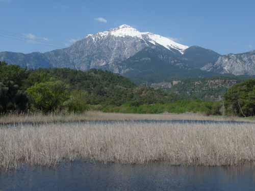 20307-Camyuva-Phaselis