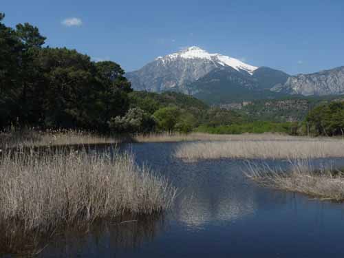 20311-Camyuva-Phaselis