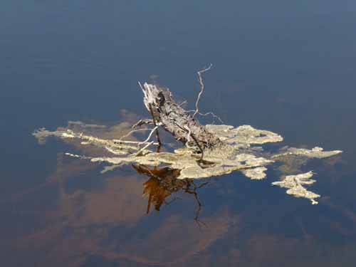 20315-Camyuva-Phaselis