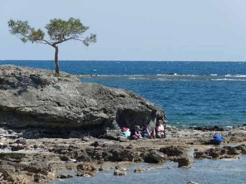 20323-Camyuva-Phaselis