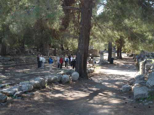 20325-Camyuva-Phaselis