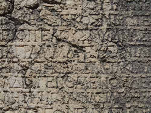 20332-Camyuva-Phaselis