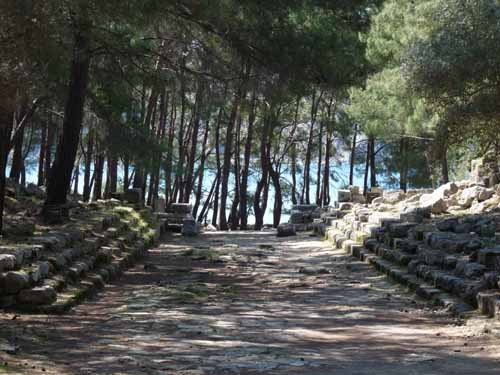 20343-Camyuva-Phaselis