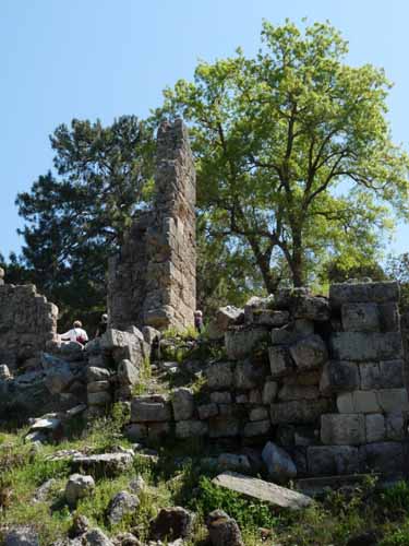 20352-Camyuva-Phaselis