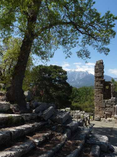 20396-Camyuva-Phaselis