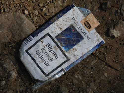 20423-Camyuva-Phaselis