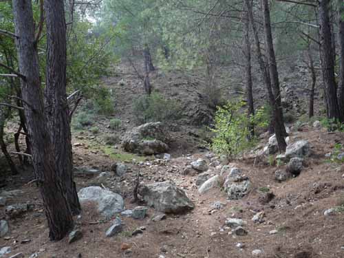 20546-Adrasan-Lykischer-Weg