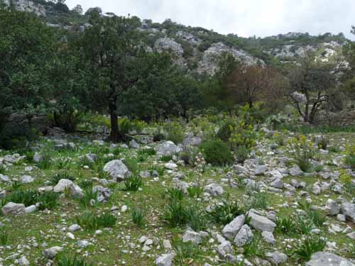 20551-Adrasan-Lykischer-Weg