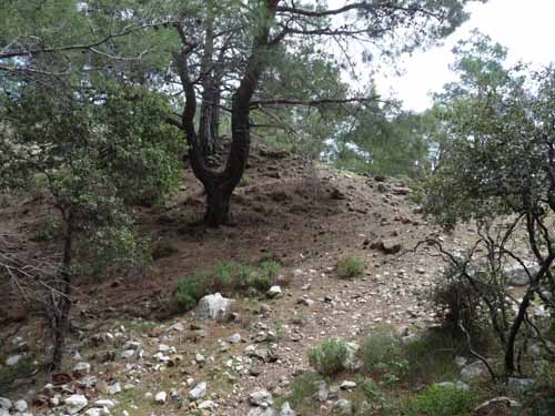 20552-Adrasan-Lykischer-Weg