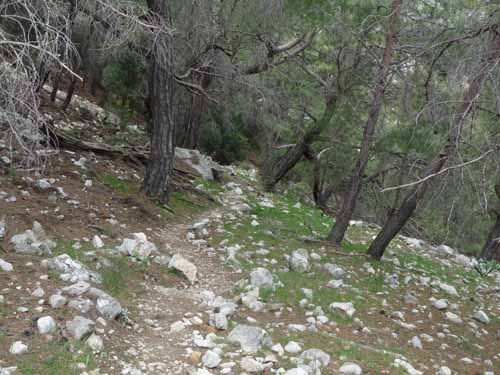 20553-Adrasan-Lykischer-Weg