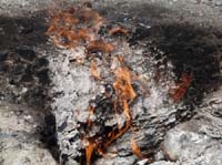 10985-Cirali-Olympos