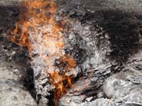 10986-Cirali-Olympos