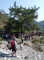 10989-Cirali-Olympos