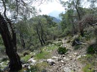 10993-Cirali-Olympos