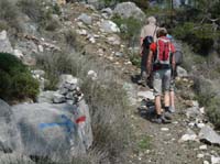 10995-Cirali-Olympos