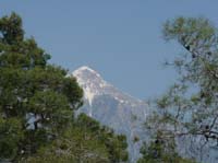 10997-Cirali-Olympos