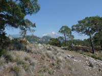 20006-Cirali-Olympos