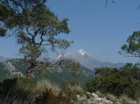 20010-Cirali-Olympos