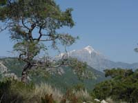 20012-Cirali-Olympos