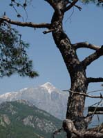 20017-Cirali-Olympos