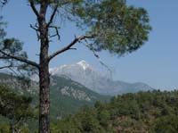 20020-Cirali-Olympos