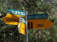 20038-Cirali-Olympos