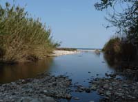 20056-Cirali-Olympos