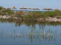 20061-Cirali-Olympos