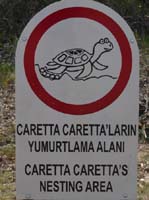 20063-Cirali-Olympos