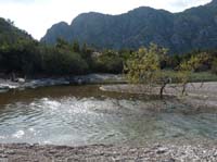 20095-Cirali-Olympos