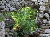 20099-Cirali-Olympos