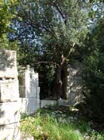 20104-Cirali-Olympos