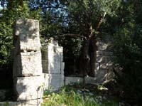 20106-Cirali-Olympos