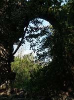 20107-Cirali-Olympos