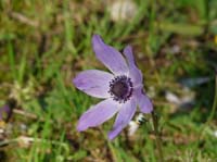 20131-Cirali-Olympos