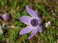 20137-Cirali-Olympos