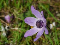 20138-Cirali-Olympos