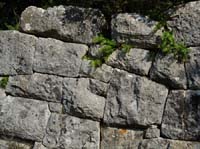 20143-Cirali-Olympos