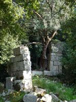 20146-Cirali-Olympos