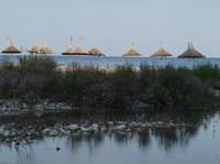 20187-Cirali-Olympos