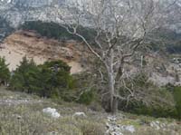 20197-Beycik-Tahtali