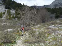 20199-Beycik-Tahtali