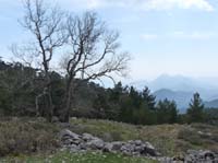 20200-Beycik-Tahtali